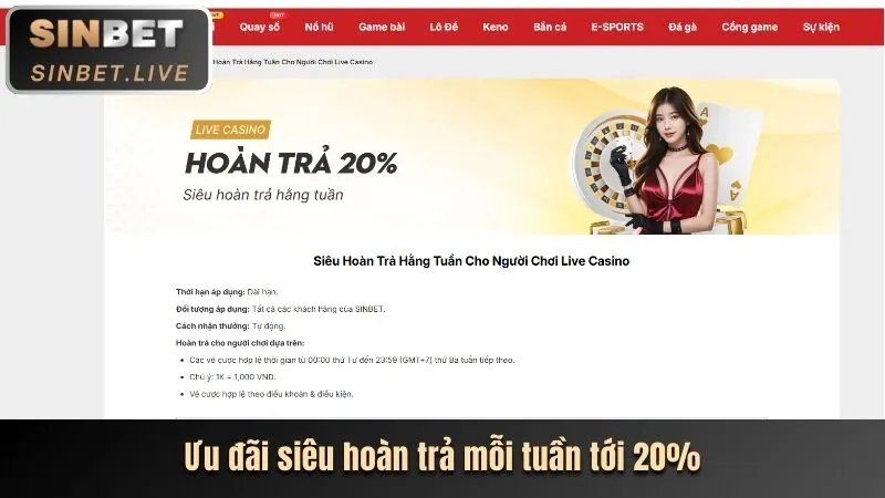 Giao diện nền tảng cá cược Sinbet